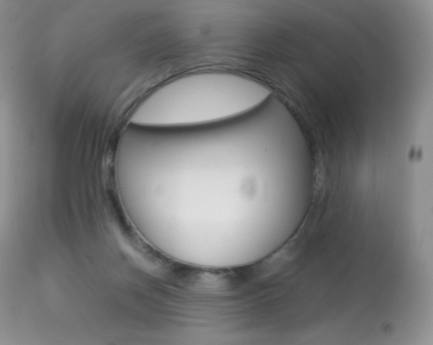 X0000113640166200909181338