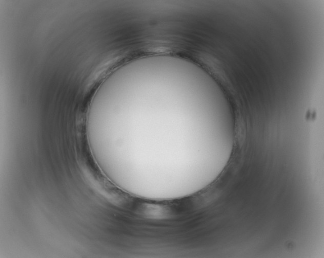 X0000113640167200909181338