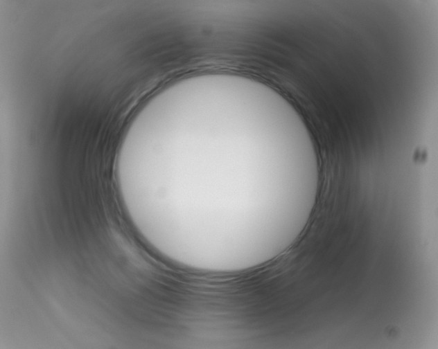 X0000113640168200909181338