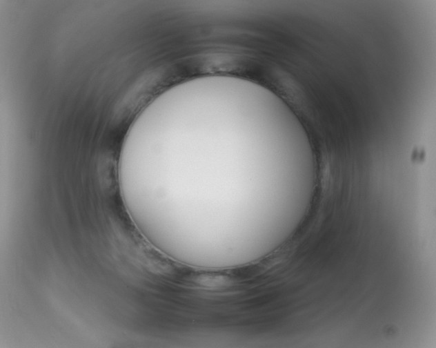 X0000113640169200909181338