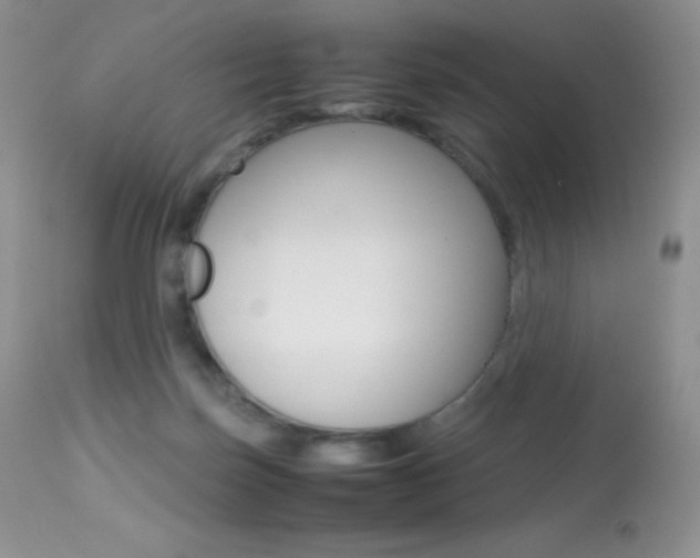 X0000113640171200909181338