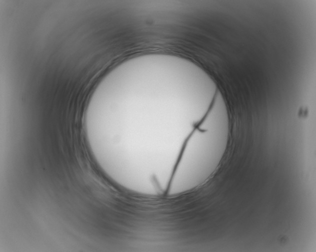 X0000113640172200909181338