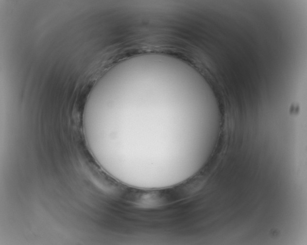X0000113640173200909181338