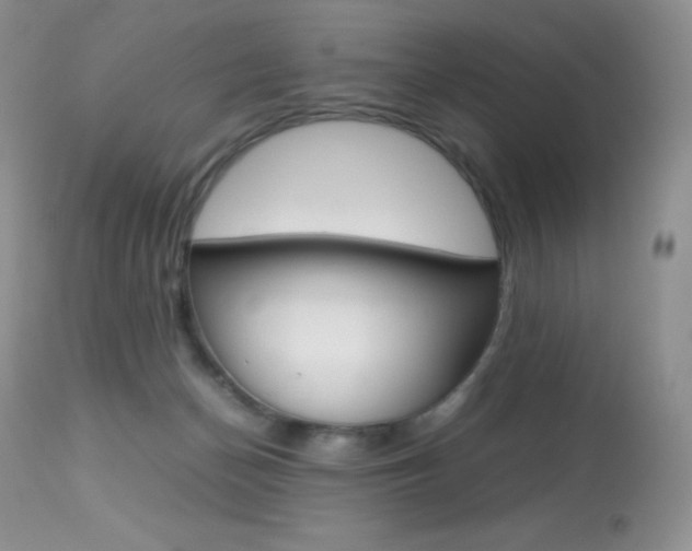 X0000113640174200909181338