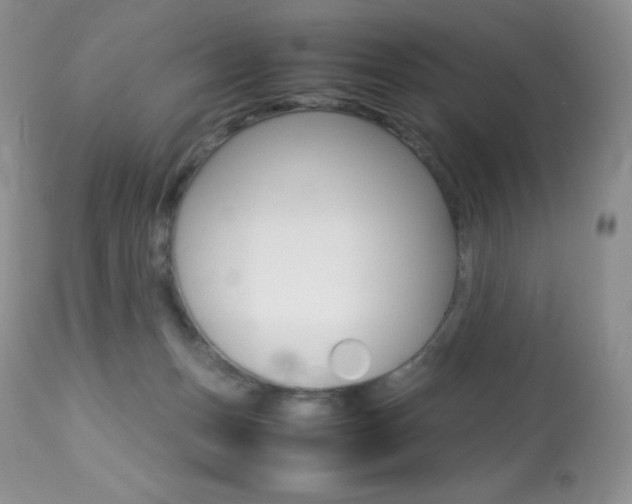 X0000113640175200909181338