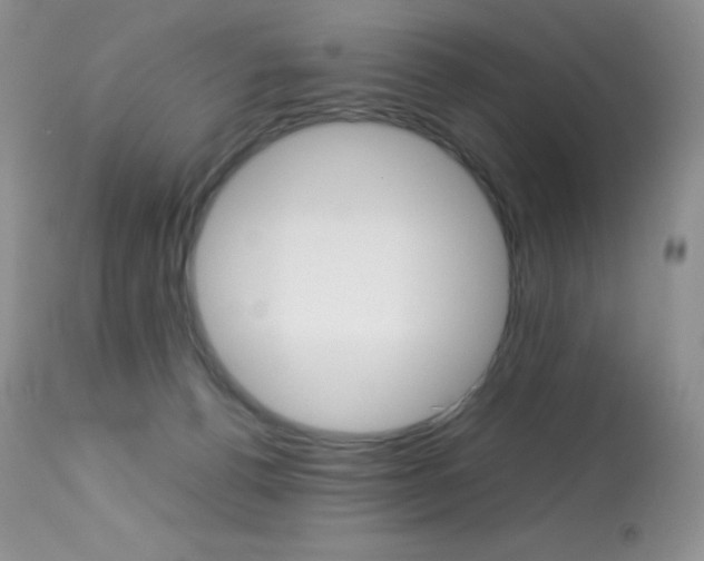 X0000113640176200909181338