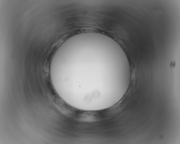 X0000113640179200909181338