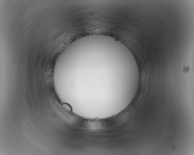 X0000113640181200909181338