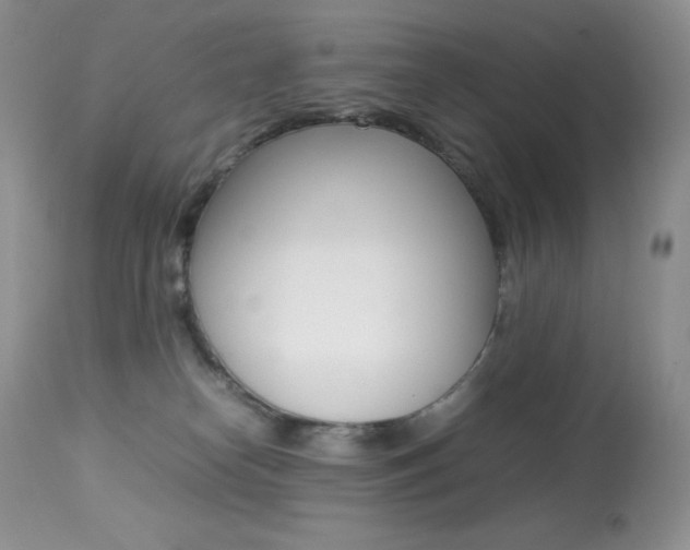 X0000113640182200909181338