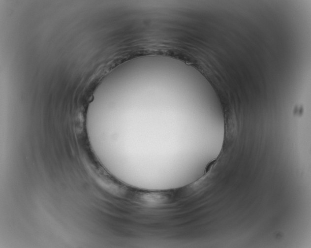 X0000113640183200909181338