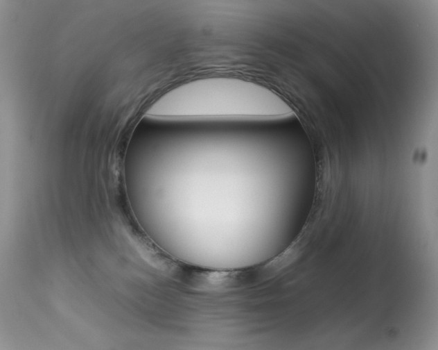 X0000113640184200909181338