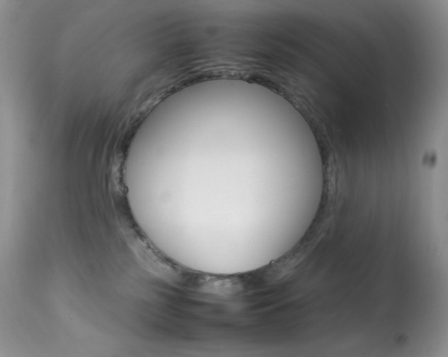 X0000113640185200909181338