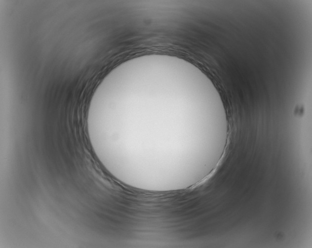 X0000113640186200909181338