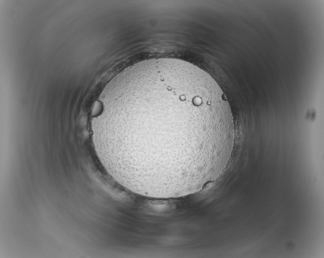 X0000113640187200909181338