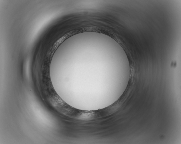 X0000113640189200909181338