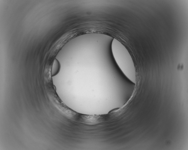 X0000113640191200909181338