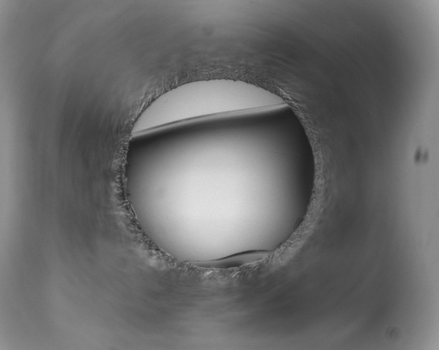 X0000113640192200909181338