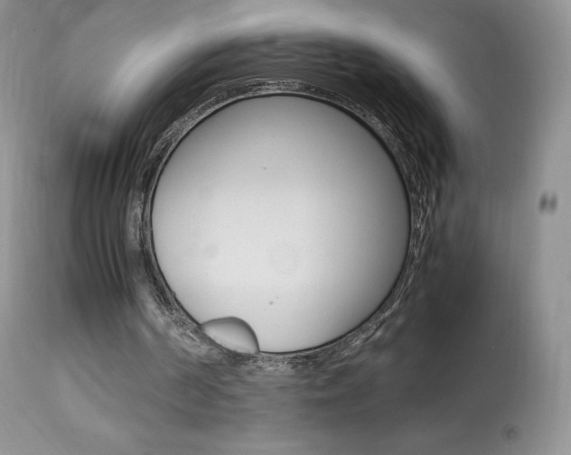 X0000113640194200909181337
