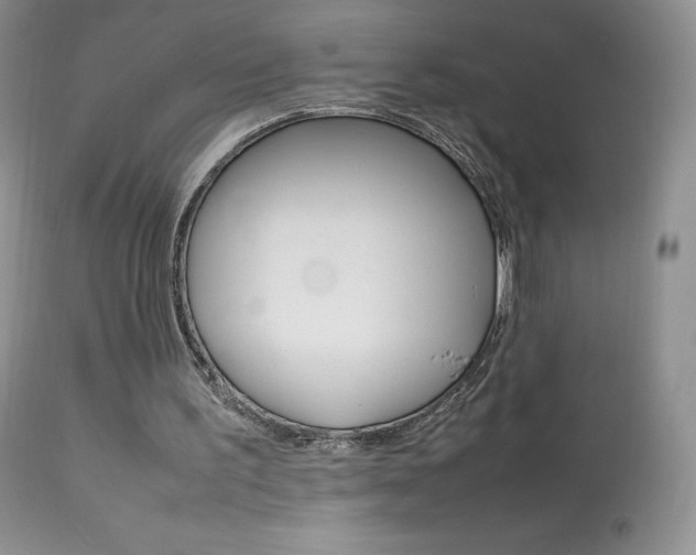 X0000113640195200909181337