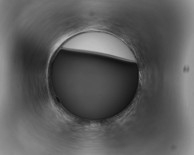 X0000113640196200909181337
