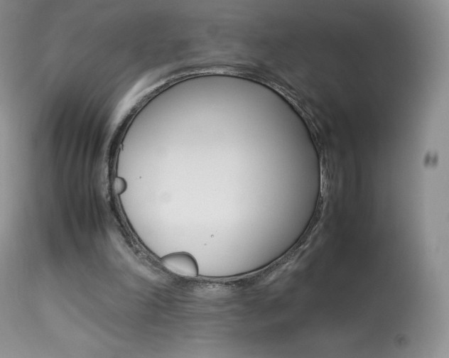 X0000113640198200909181337
