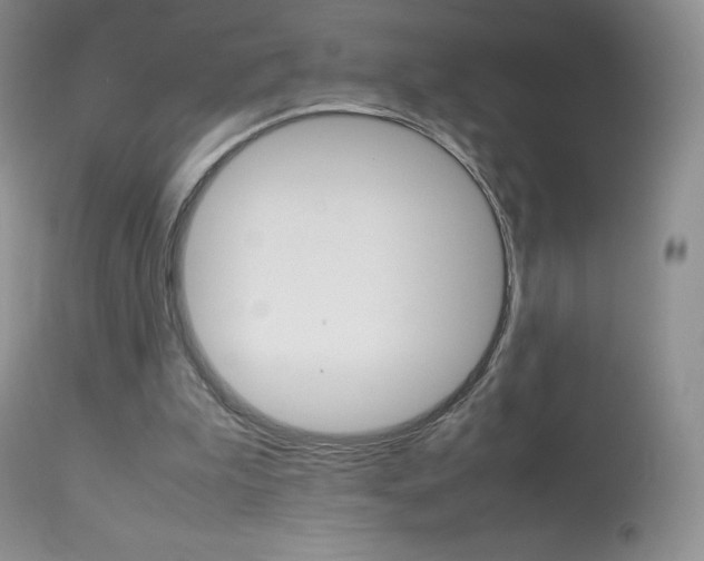 X0000113640199200909181337