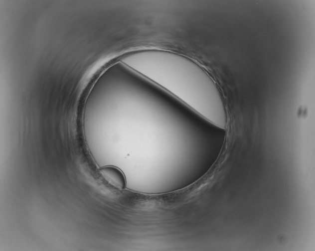 X0000113640200200909181337