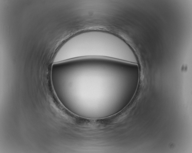 X0000113640201200909181337