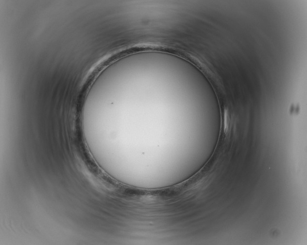 X0000113640204200909181337