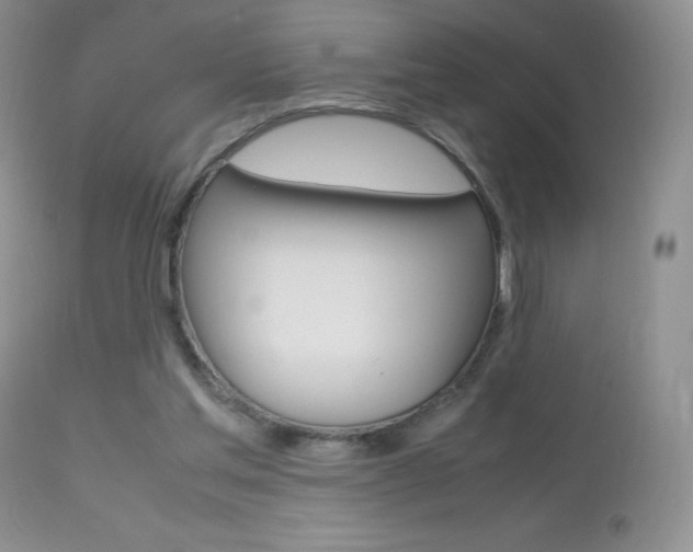 X0000113640205200909181337