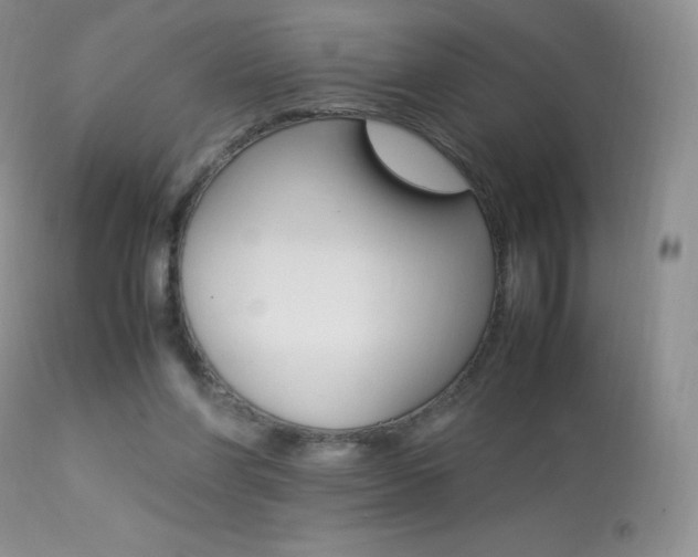 X0000113640206200909181337