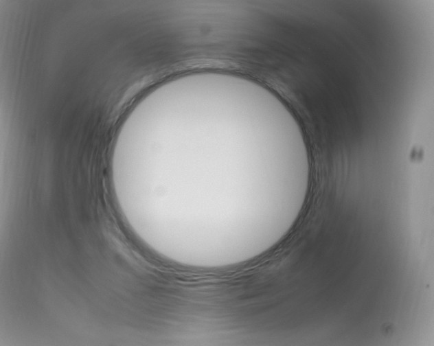X0000113640207200909181337