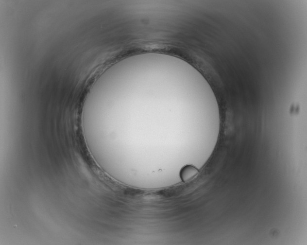 X0000113640210200909181337