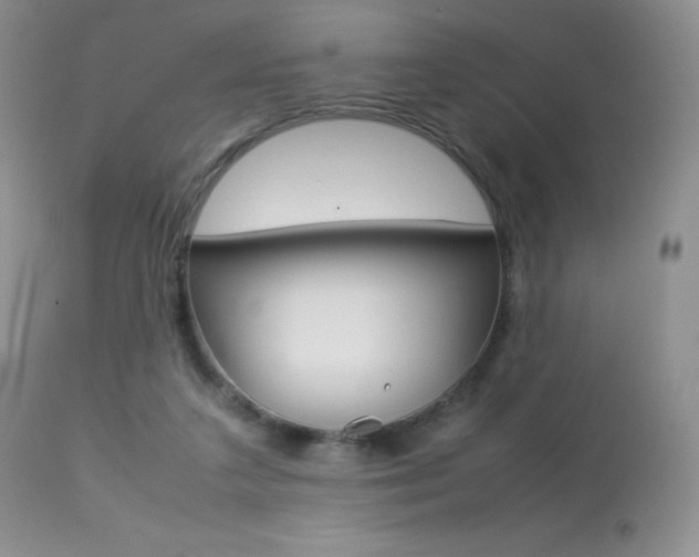 X0000113640211200909181337