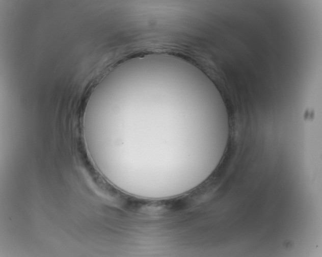 X0000113640213200909181337