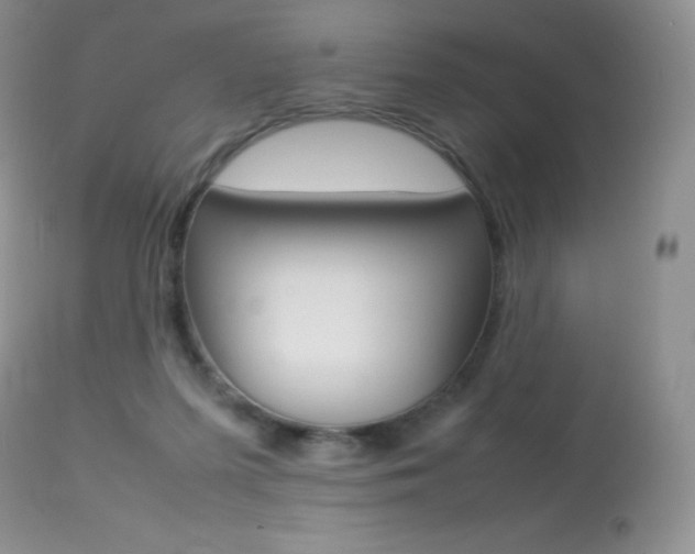 X0000113640215200909181337
