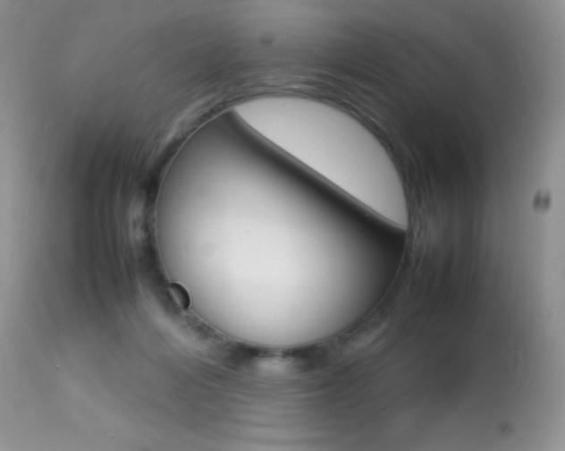 X0000113640216200909181337