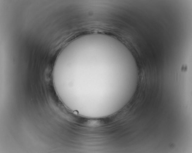 X0000113640218200909181337