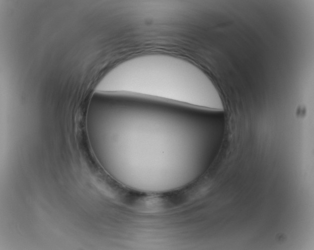 X0000113640219200909181337