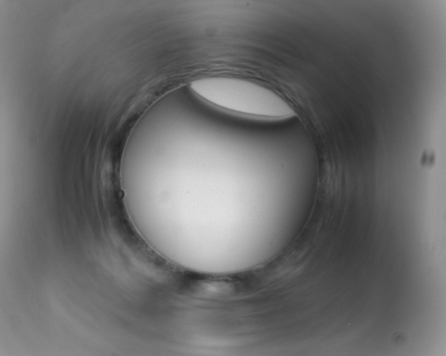 X0000113640220200909181337
