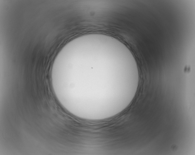 X0000113640221200909181337