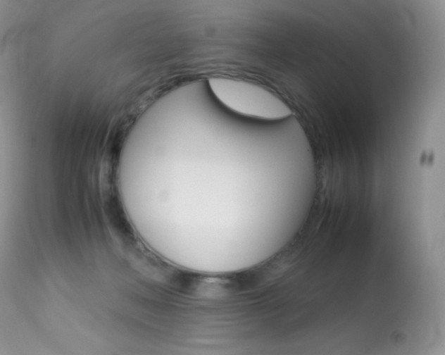 X0000113640222200909181337