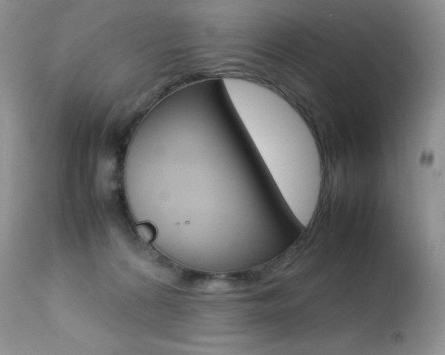 X0000113640224200909181337