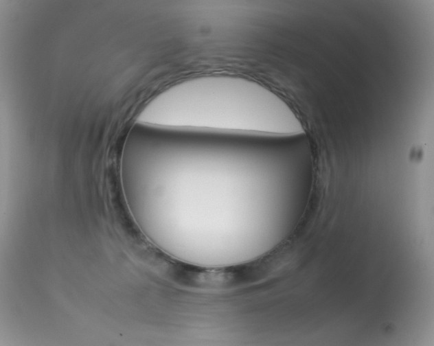 X0000113640225200909181337