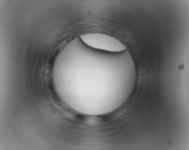 X0000113640226200909181337