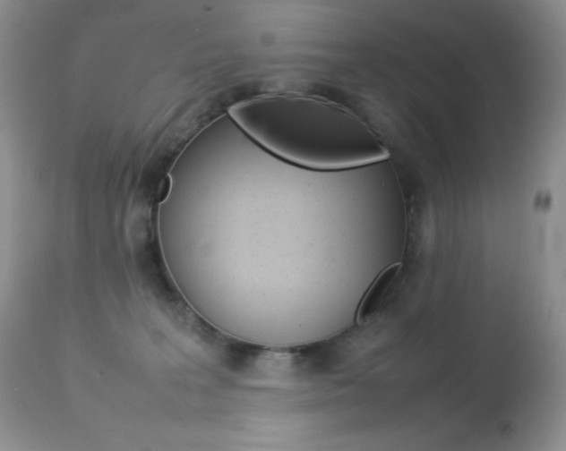 X0000113640227200909181337