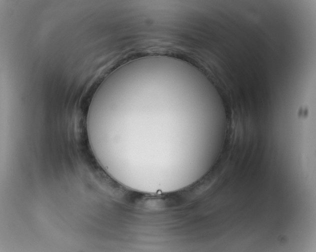 X0000113640228200909181337
