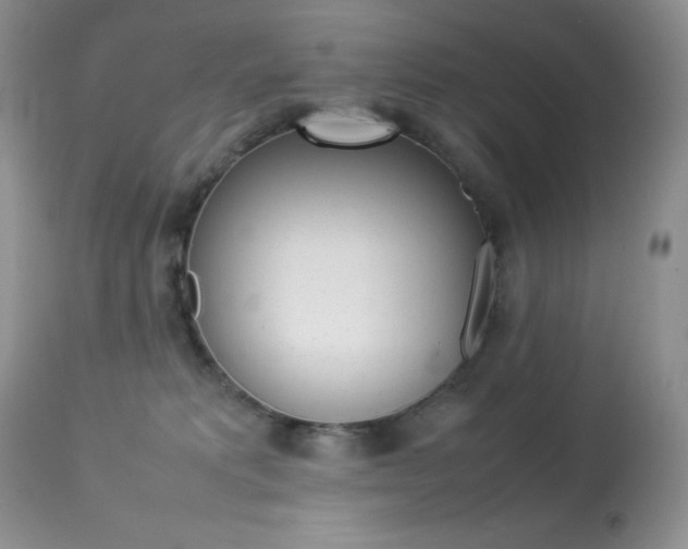 X0000113640229200909181337