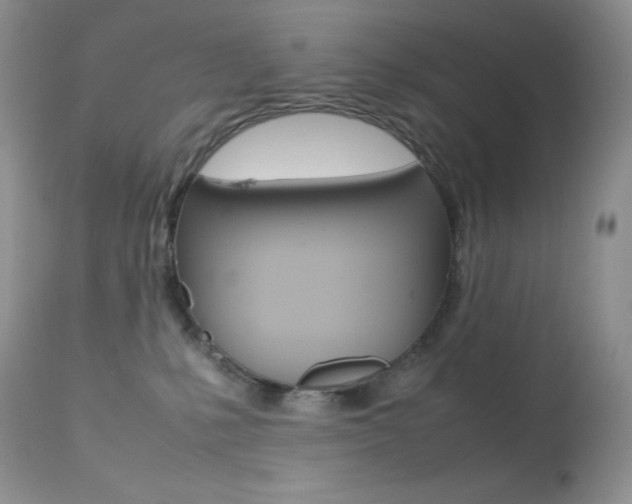 X0000113640231200909181337