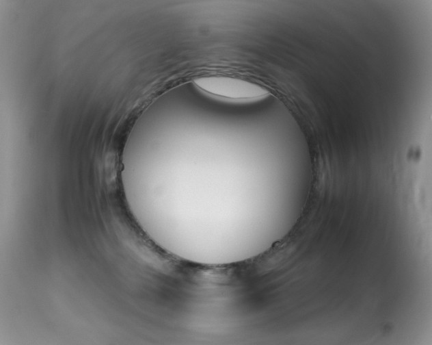 X0000113640232200909181337